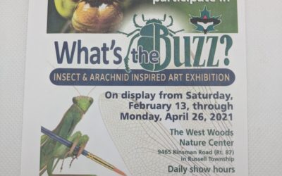 What’s the Buzz? Insect Inspired Art Exhibit